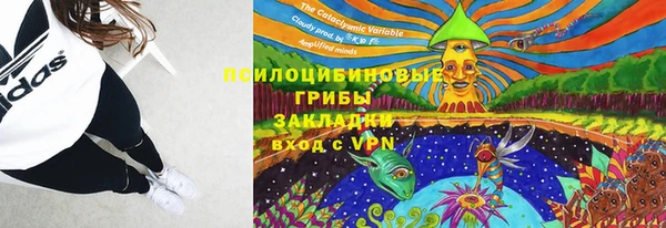 spice Лиски