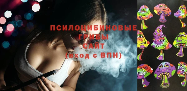 spice Лиски