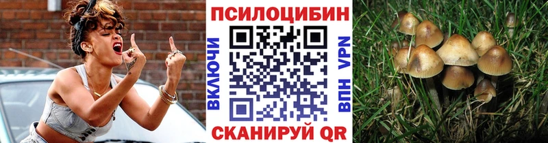 Галлюциногенные грибы MAGIC MUSHROOMS  Купить закладки  Бутурлиновка 